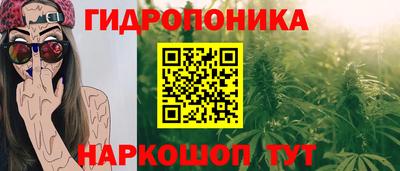 мескалин Камышлов