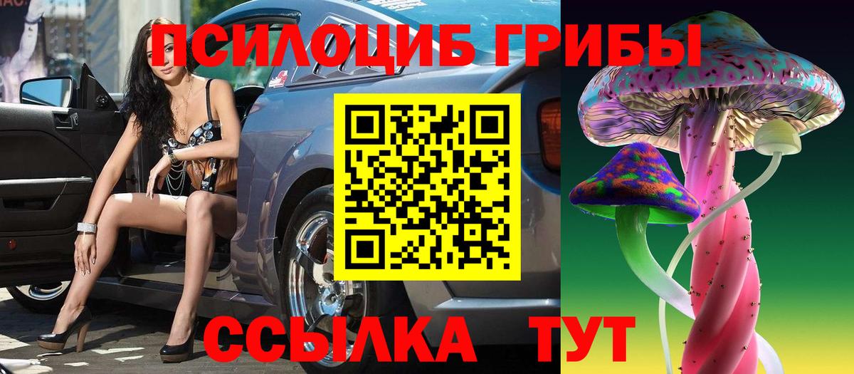 Галлюциногенные грибы прущие грибы Лабинск