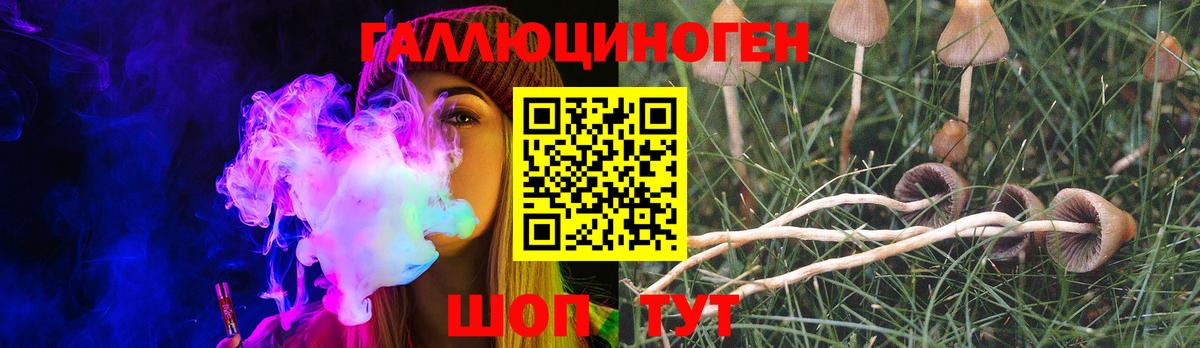 Галлюциногенные грибы MAGIC MUSHROOMS  Вход с VPN  Лабинск 